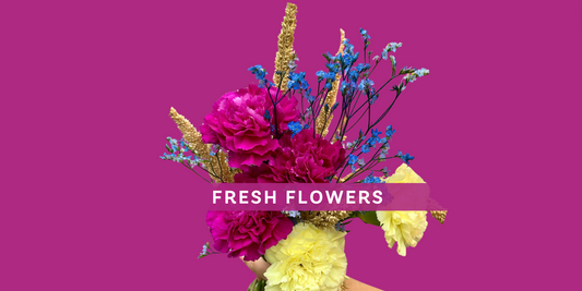 Serenata Flower Care for Fresh Flowers
