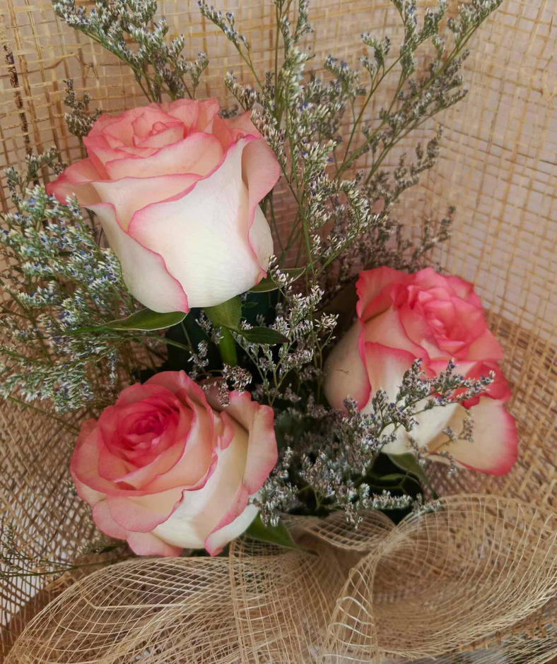 Rose Trifecta