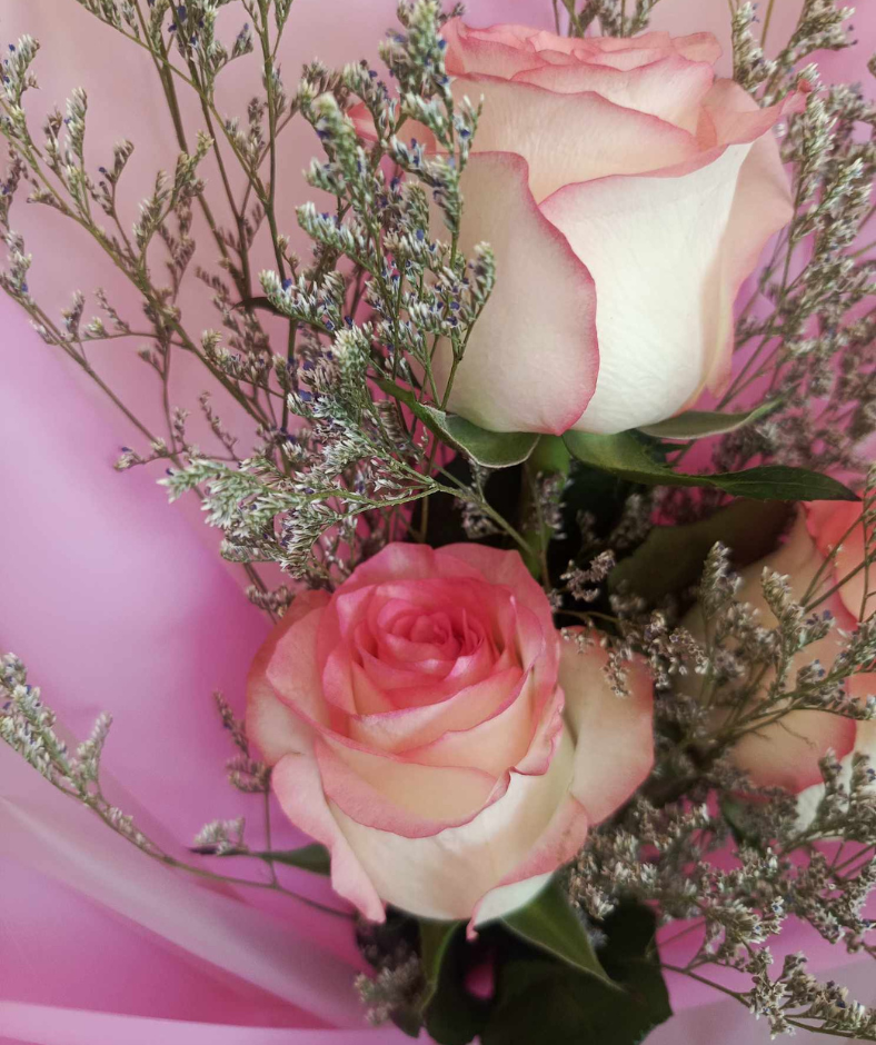 Rose Trifecta