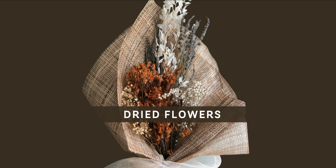 Serenata Flower care for Dried Flowers