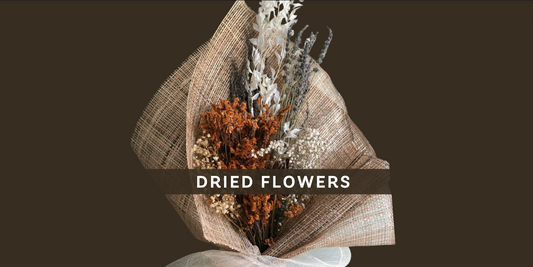 Serenata Flower Care for Dried Flowers